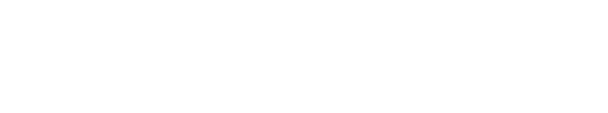 logo (4)